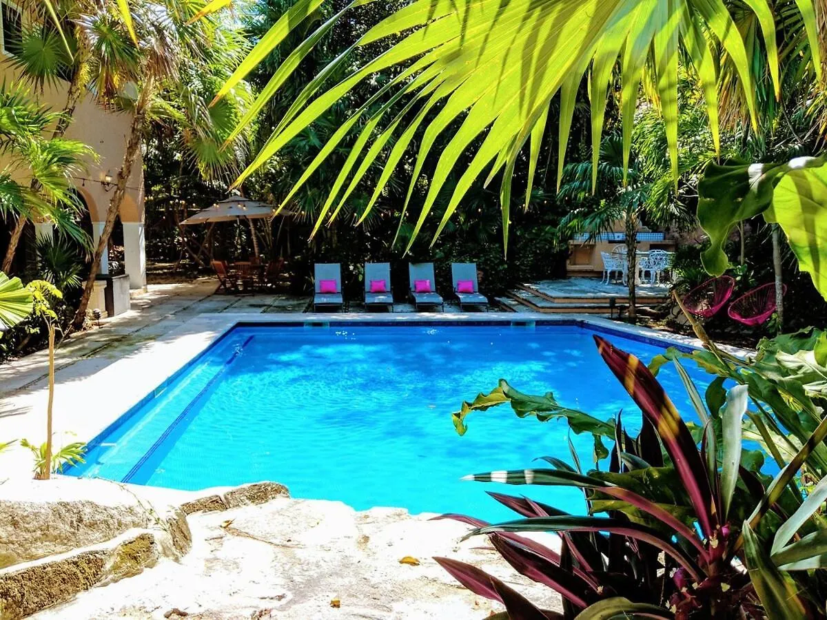 Villa Steps To Beach Sleep 29 Largest Pool In Playa Playa del Carmen Mexico