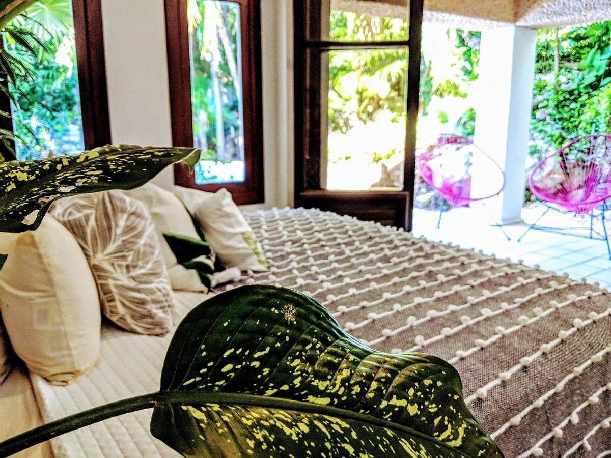 Villa Steps To Beach Sleep 29 Largest Pool In Playa Playa del Carmen
