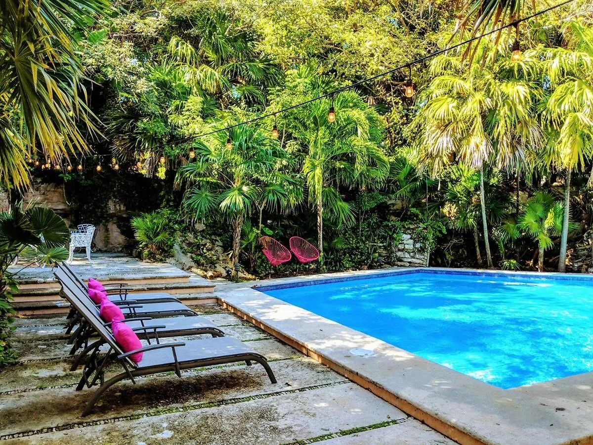 Villa Steps To Beach Sleep 29 Largest Pool In Playa Playa del Carmen