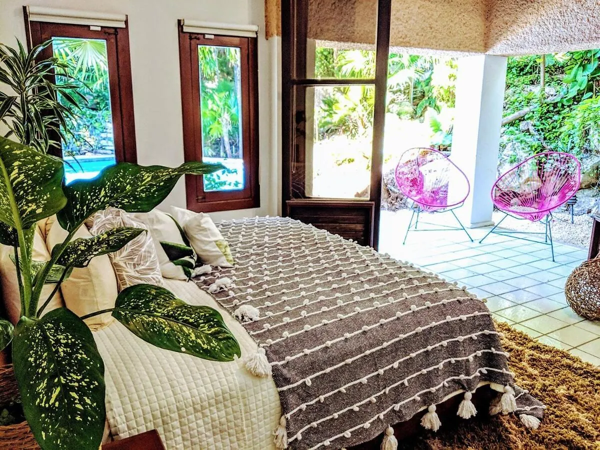 Villa Steps To Beach Sleep 29 Largest Pool In Playa Playa del Carmen