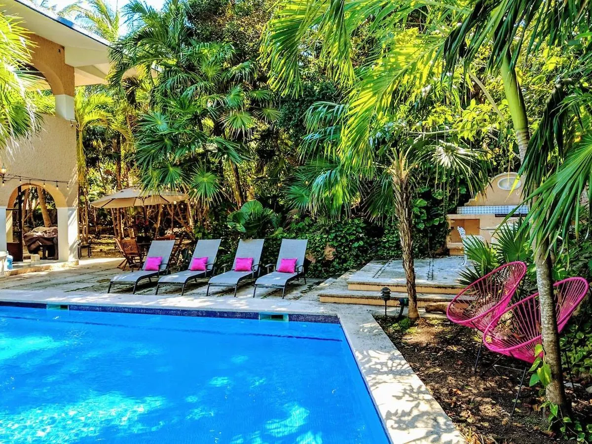 Villa Steps To Beach Sleep 29 Largest Pool In Playa Playa del Carmen