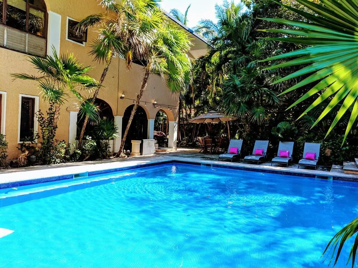 Villa Steps To Beach Sleep 29 Largest Pool In Playa Playa del Carmen