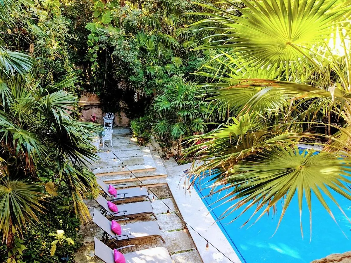 Villa Steps To Beach Sleep 29 Largest Pool In Playa Playa del Carmen 0*,