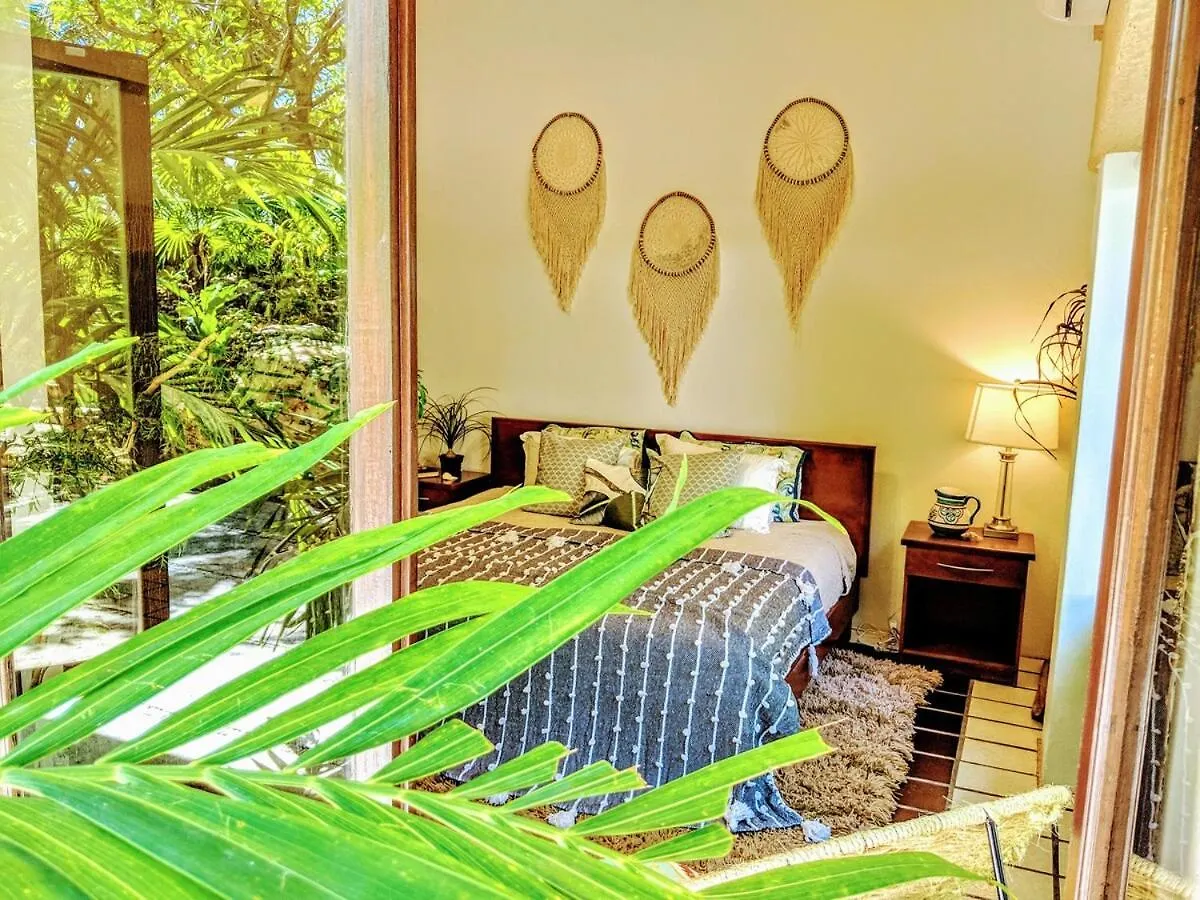 Villa Steps To Beach Sleep 29 Largest Pool In Playa Playa del Carmen