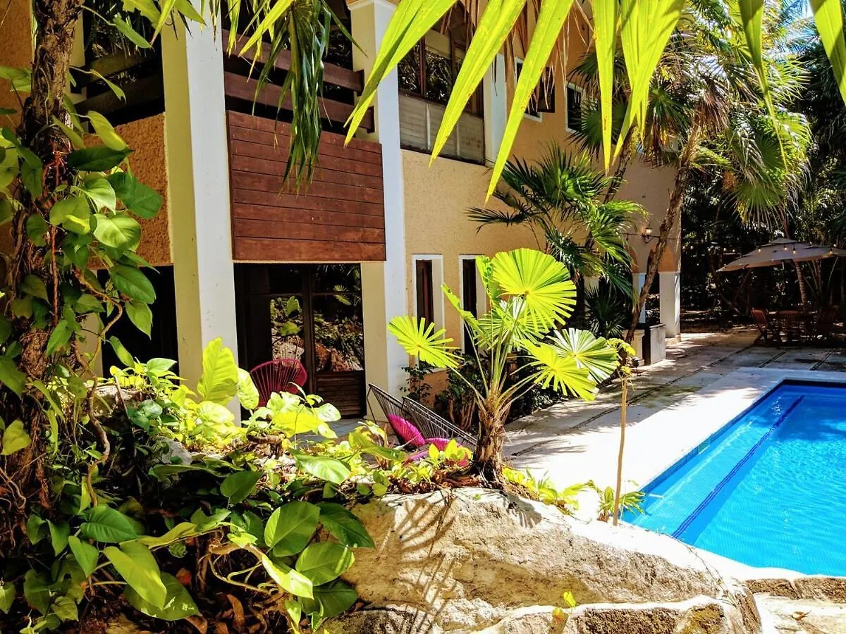 Villa Steps To Beach Sleep 29 Largest Pool In Playa Playa del Carmen