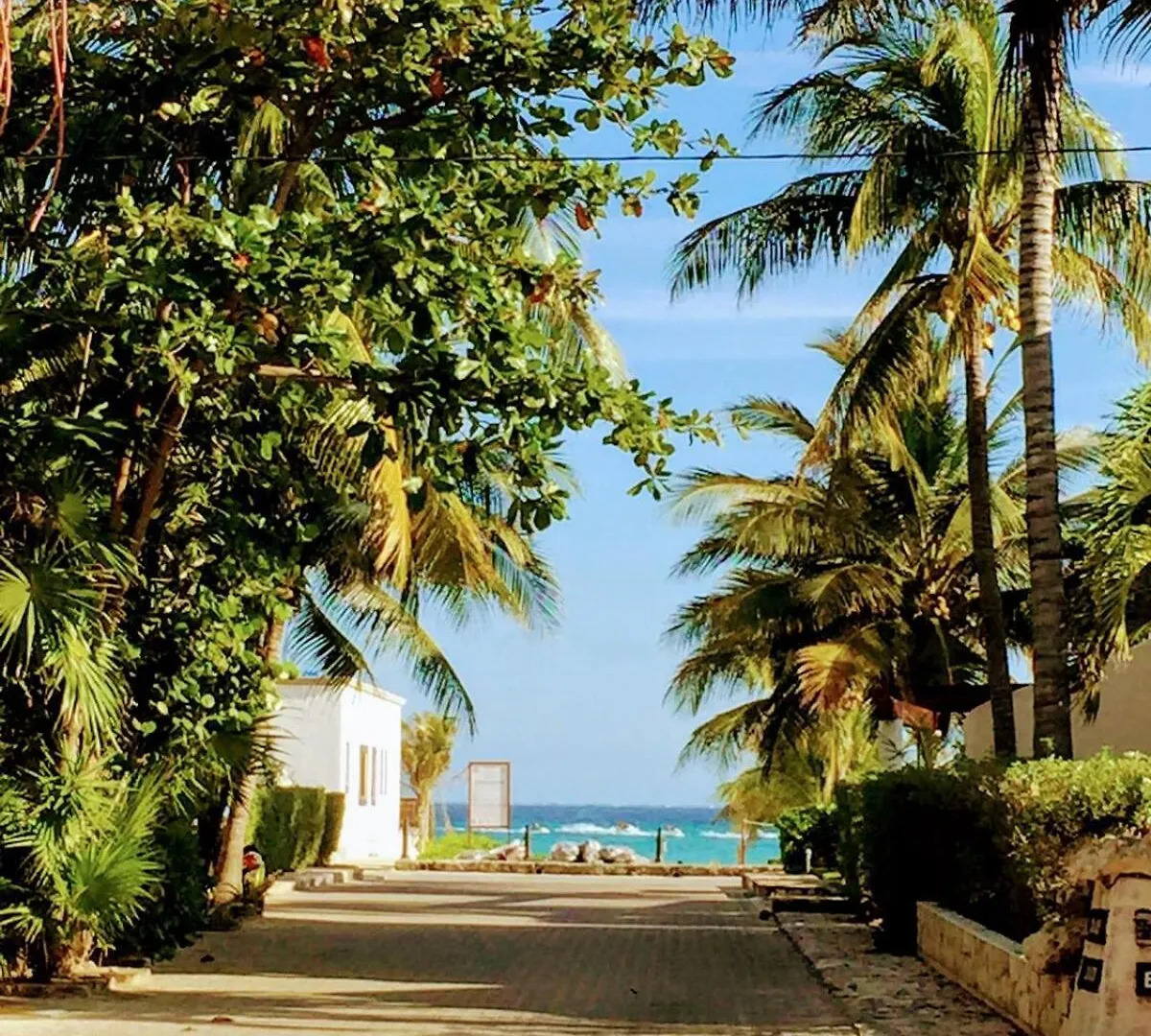 Villa Steps To Beach Sleep 29 Largest Pool In Playa Playa del Carmen